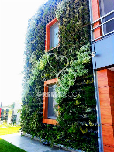 Detalj Green Decor zelenog zida