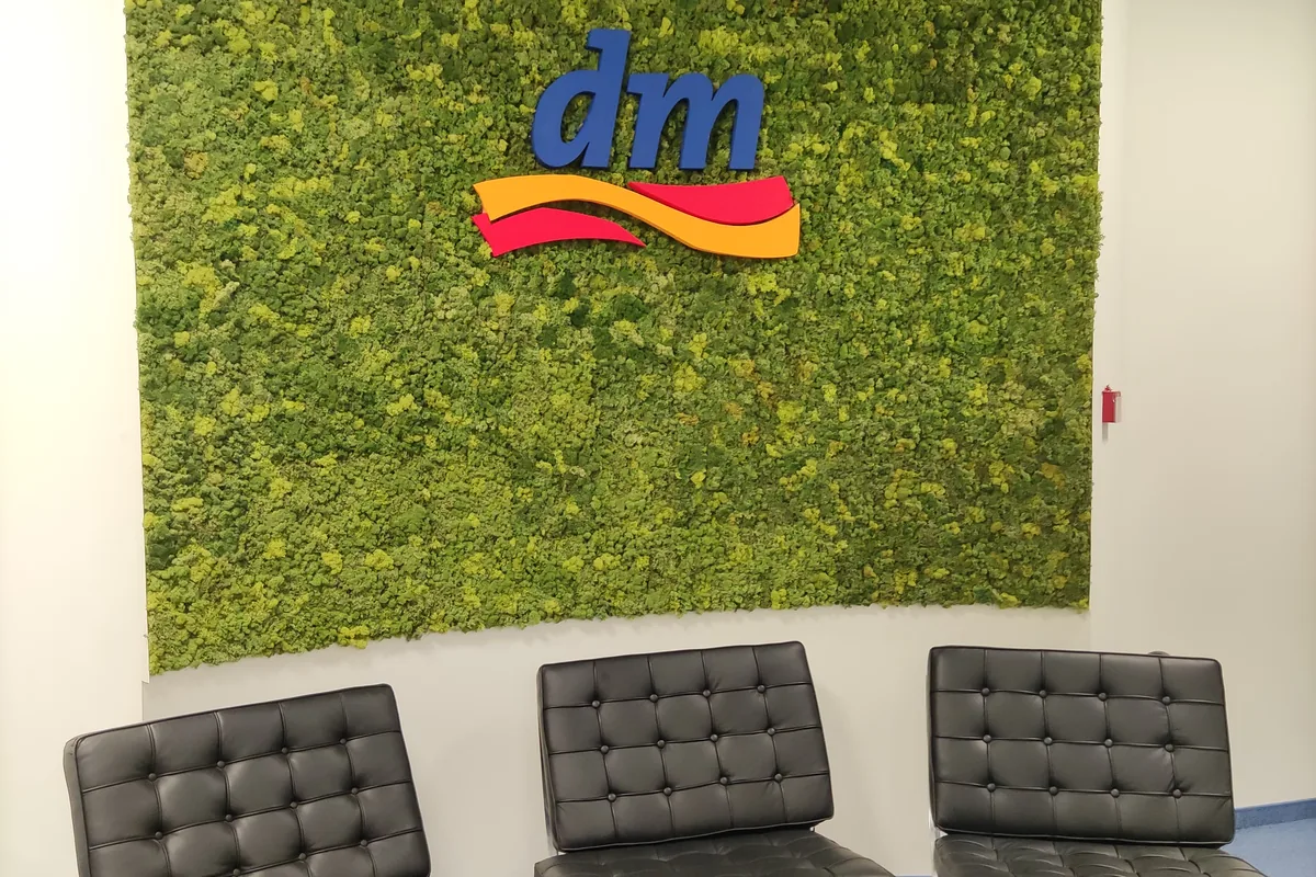 DM — zeleni zid od mahovine