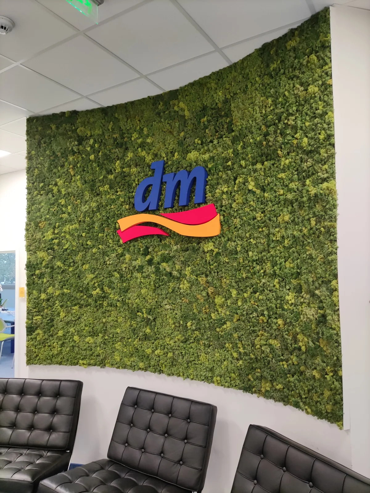 DM — zeleni zid od mahovine — fotografija 3