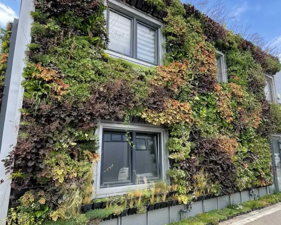 Kasetni zeleni zid — Green Decor