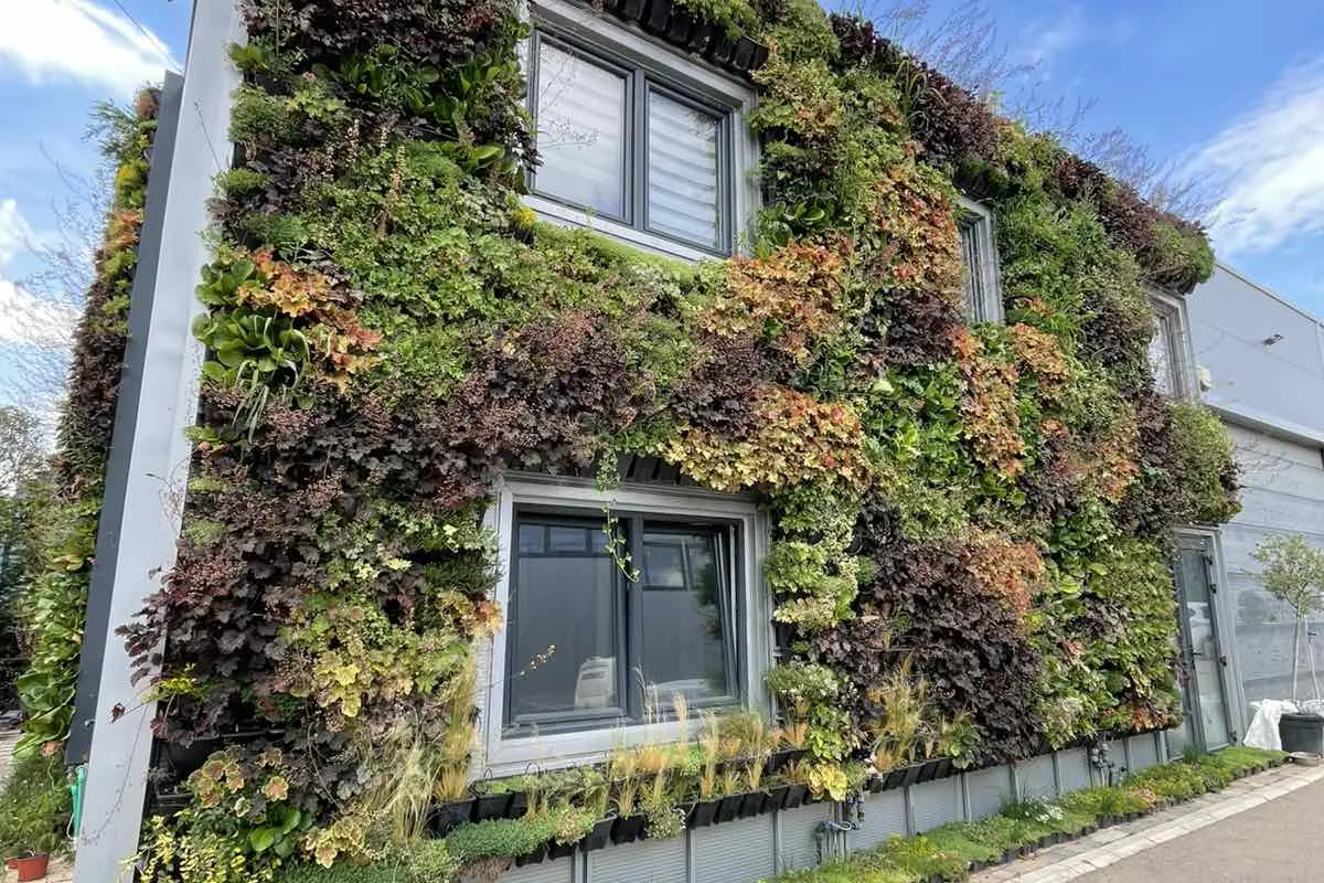 Kasetni zeleni zid — Green Decor