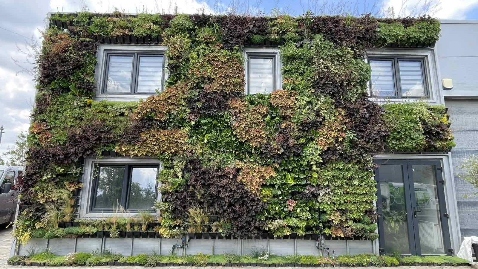 Kasetni zeleni zid — Green Decor