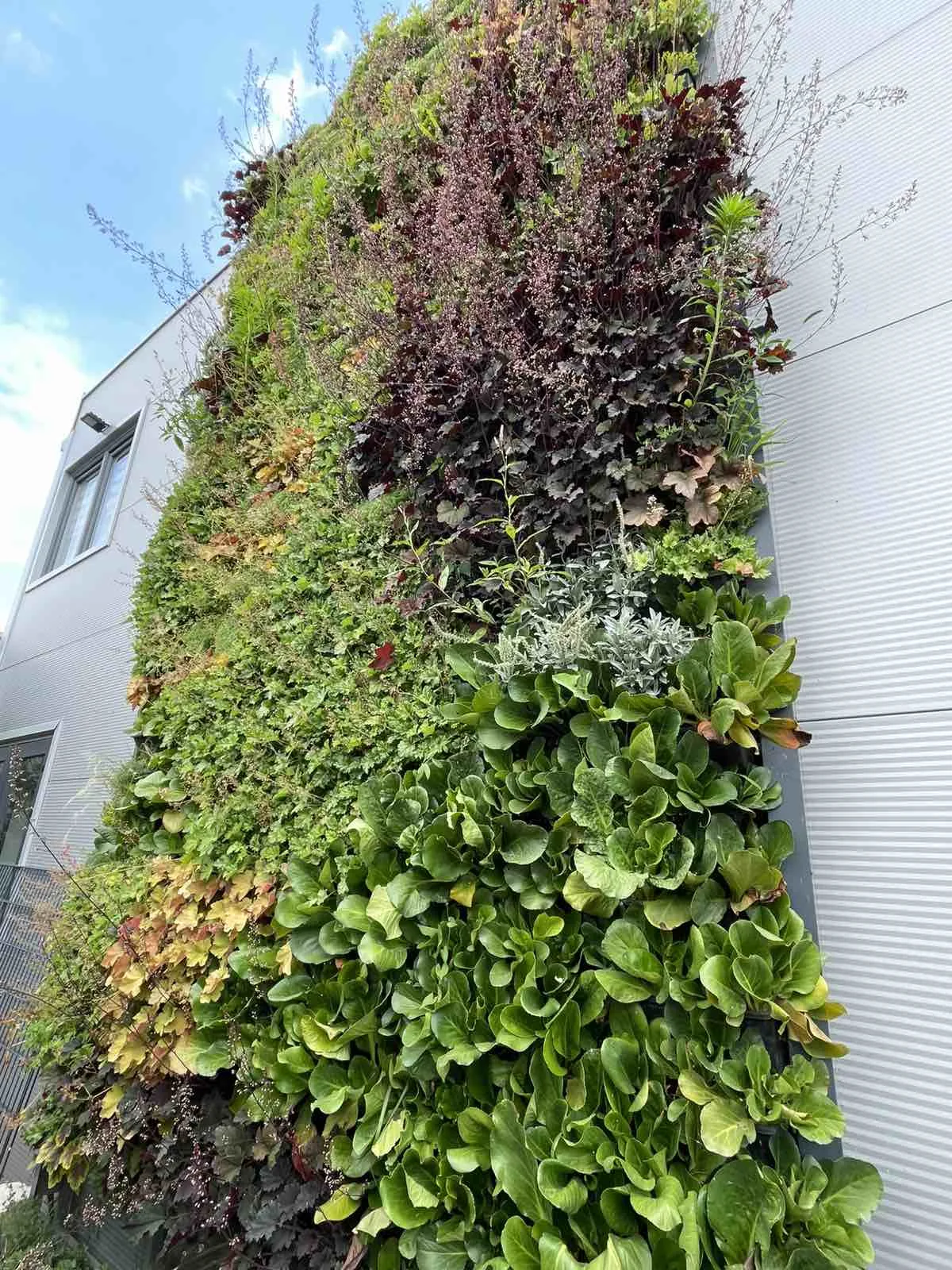 Kasetni zeleni zid — Green Decor — fotografija 2