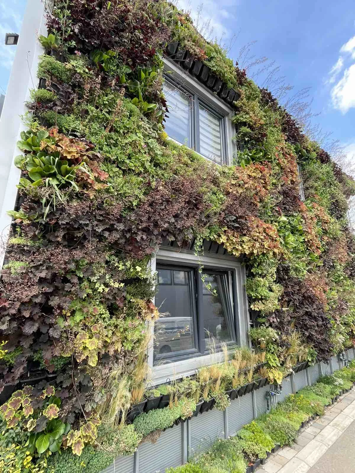 Kasetni zeleni zid — Green Decor — fotografija 3