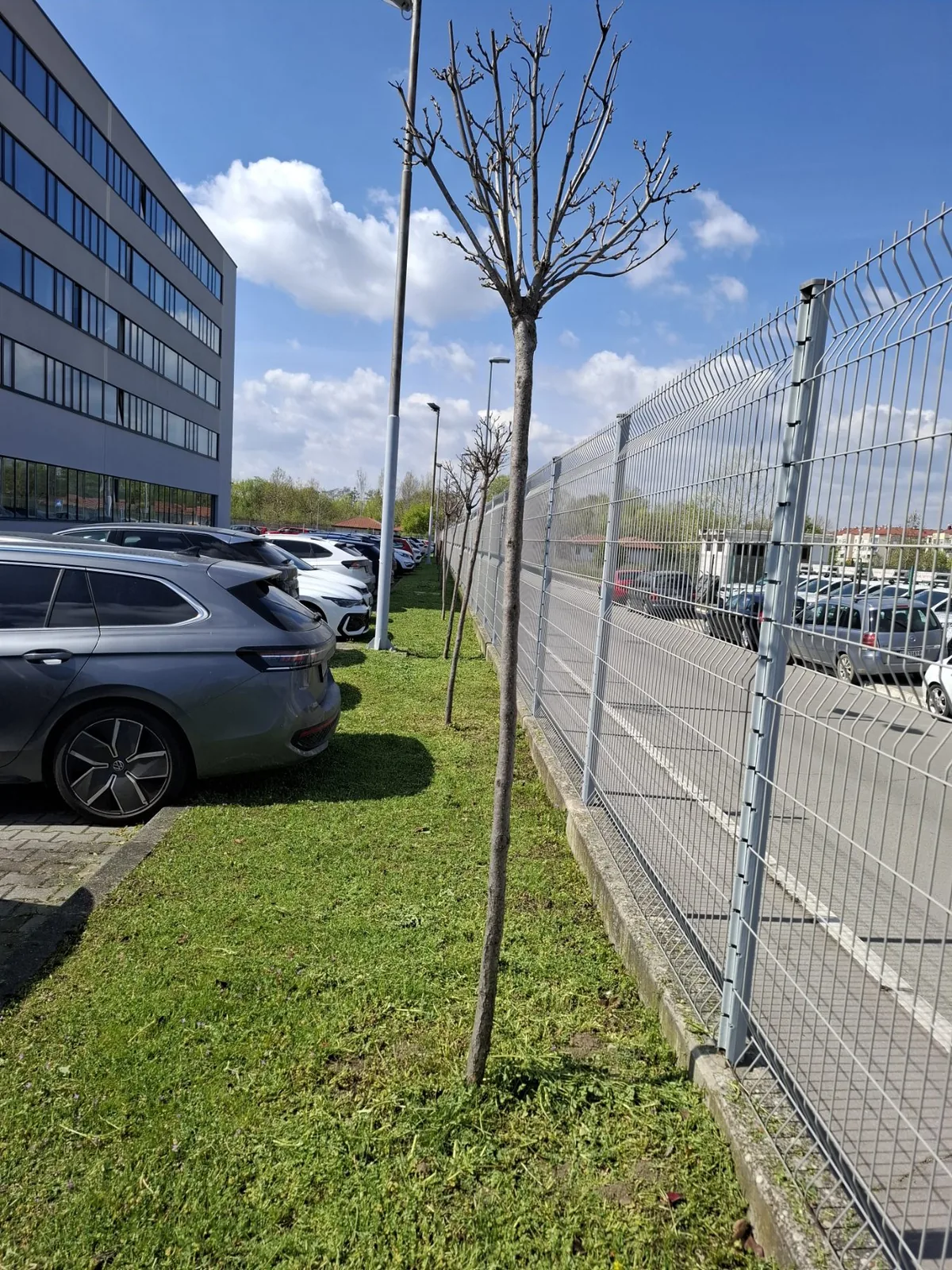 Porsche — poslovni prostor — fotografija 7