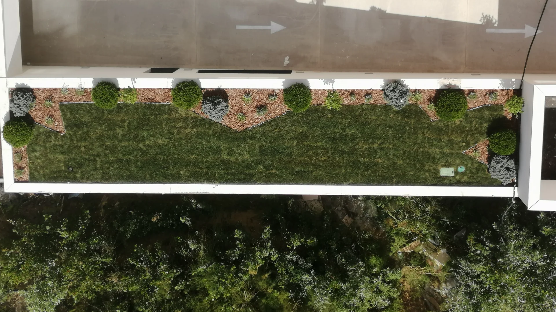 Square 43 — Novi Beograd
